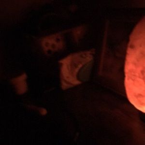 Meet your Posher, Brandi